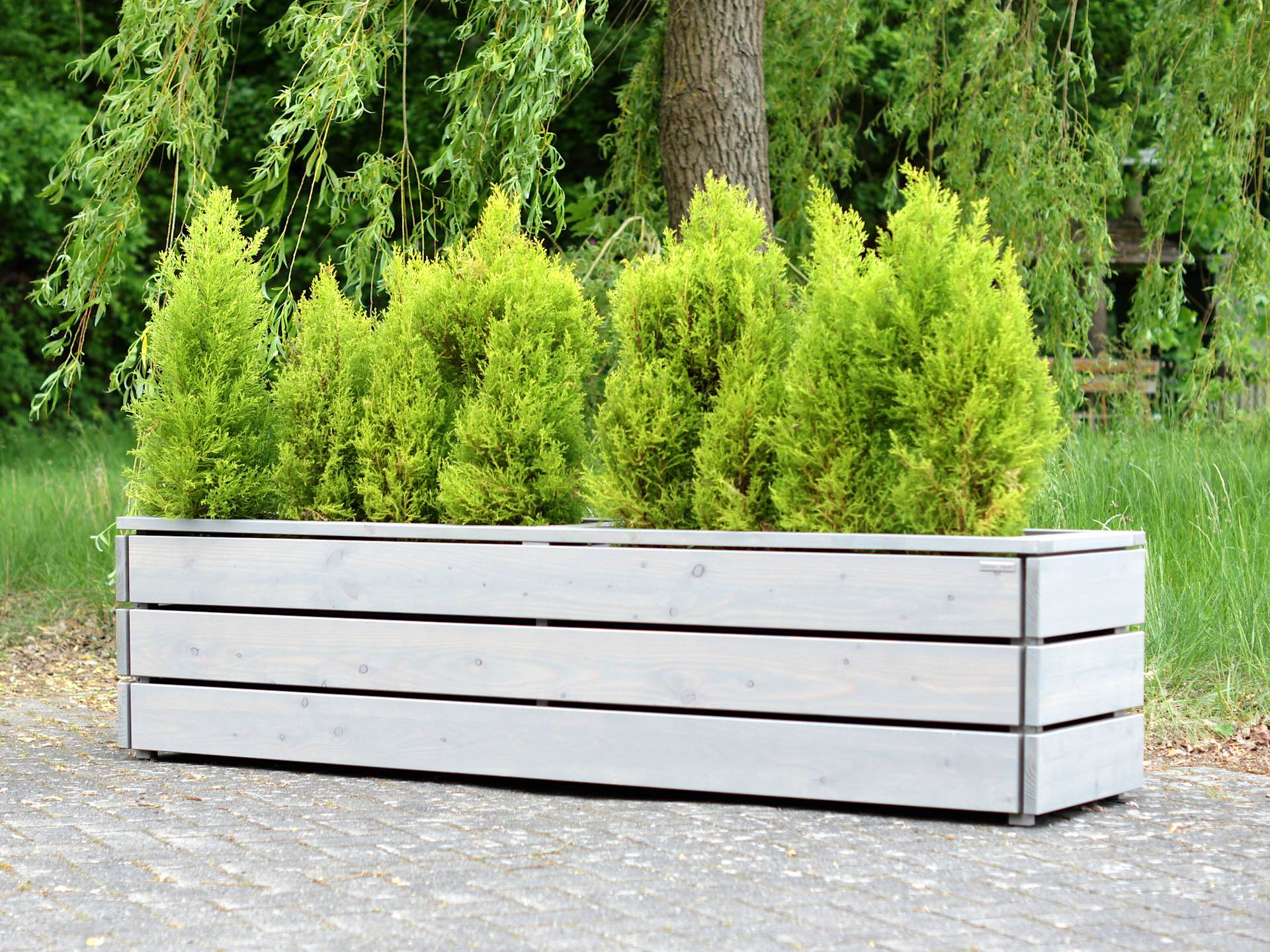 Pflanzkasten Classic Grau Geölt – langer Pflanzkasten mit leuchtend grüner Bepflanzung, Ansicht von vorn rechts