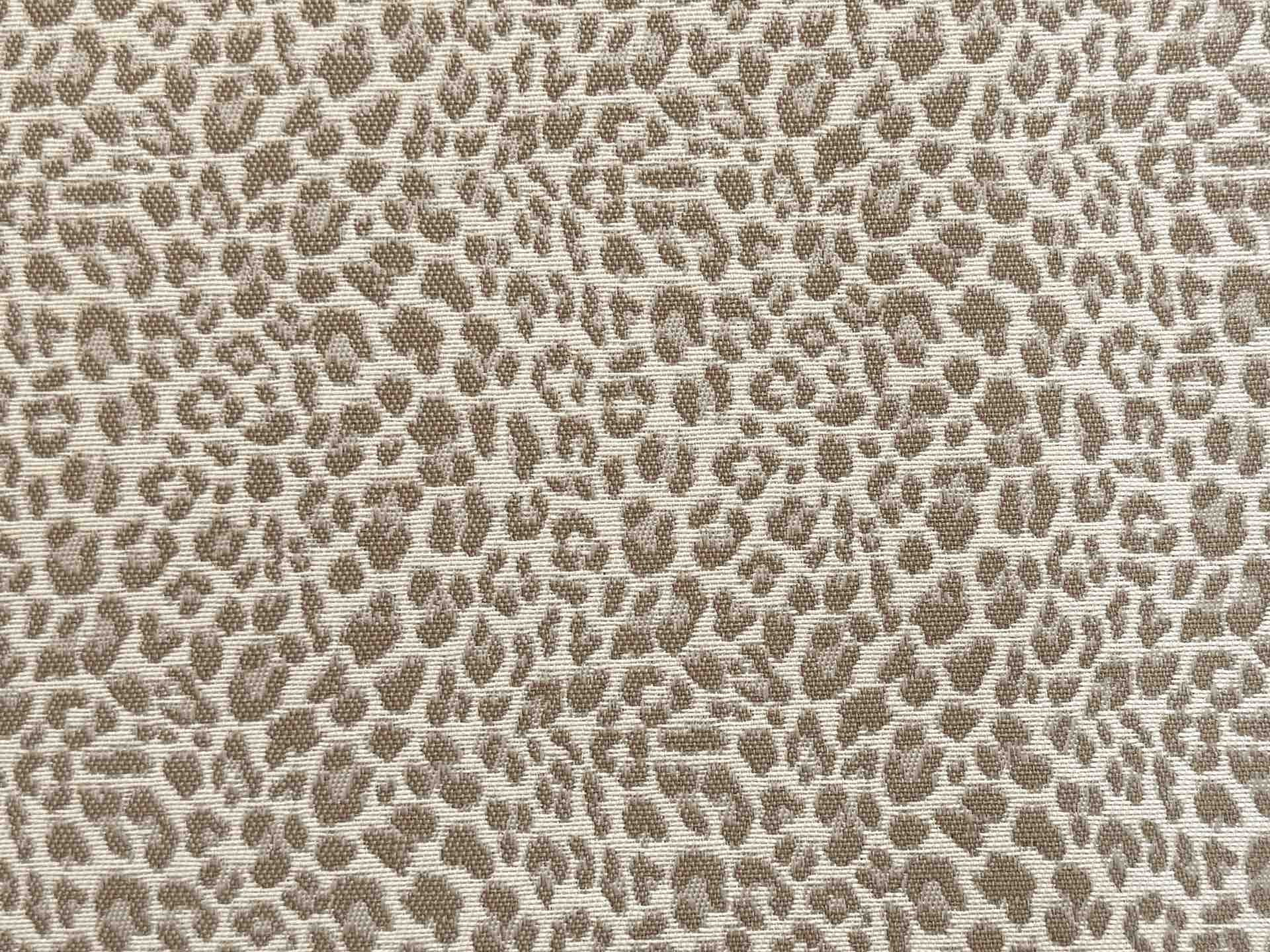 Leopard Grey