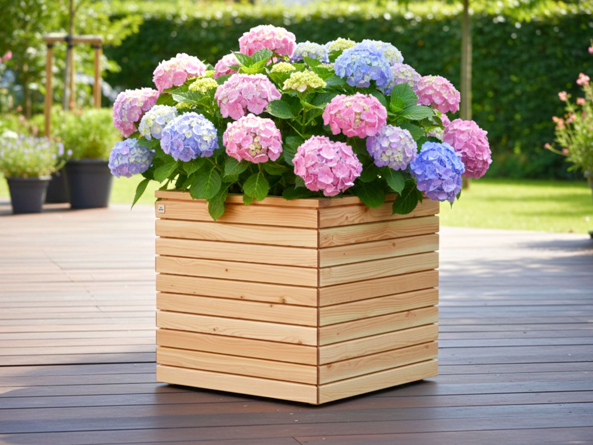 Großer Pflanzkübel Rhombus 80×80×76 cm mit Hortensie bepflanzt, ideal für Terrasse oder Garten.