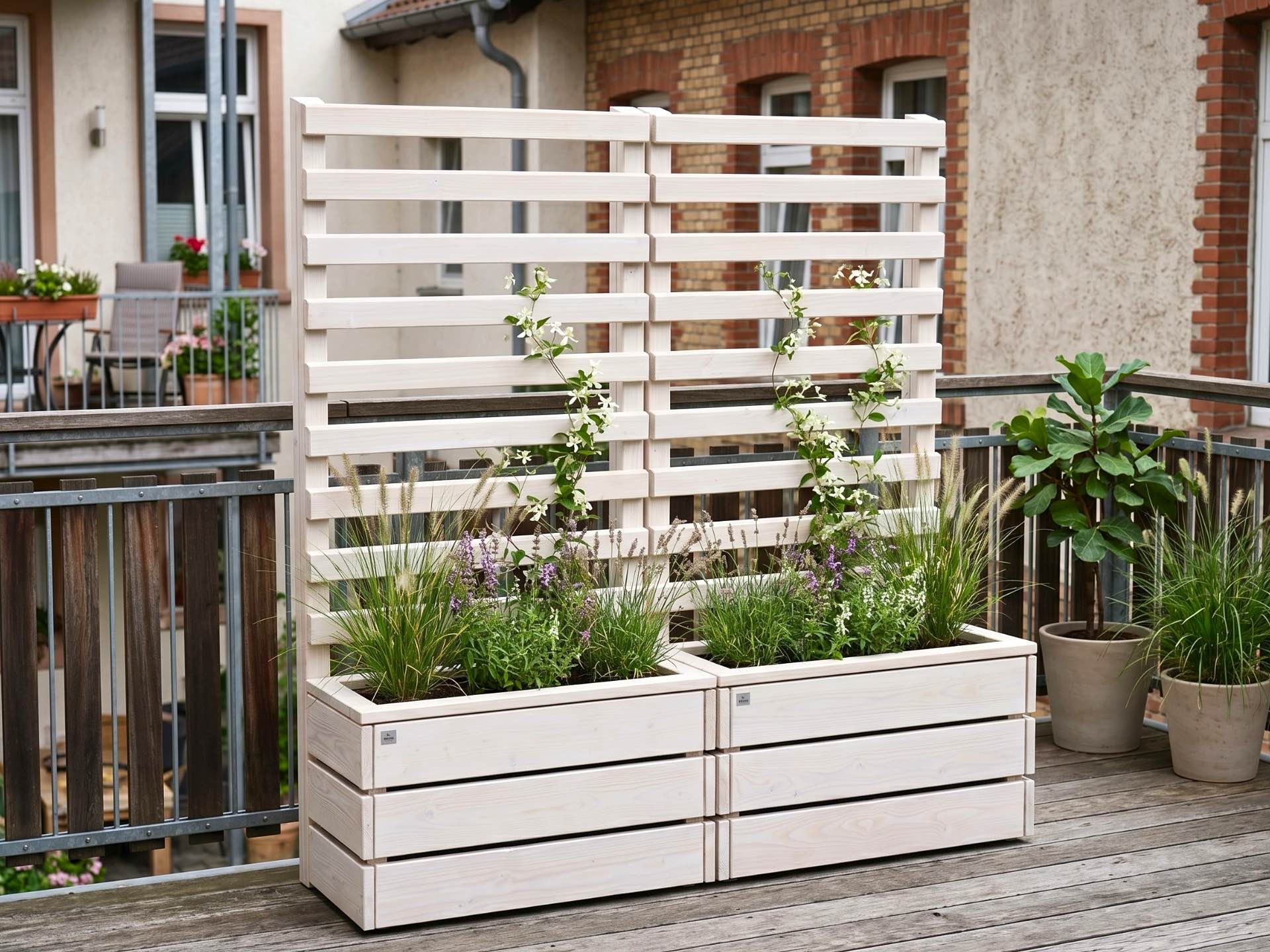 Zwei Pflanzkästen mit Rankgitter in Weiß Geölt auf Balkon als grüner Sichtschutz zum Nachbarn.