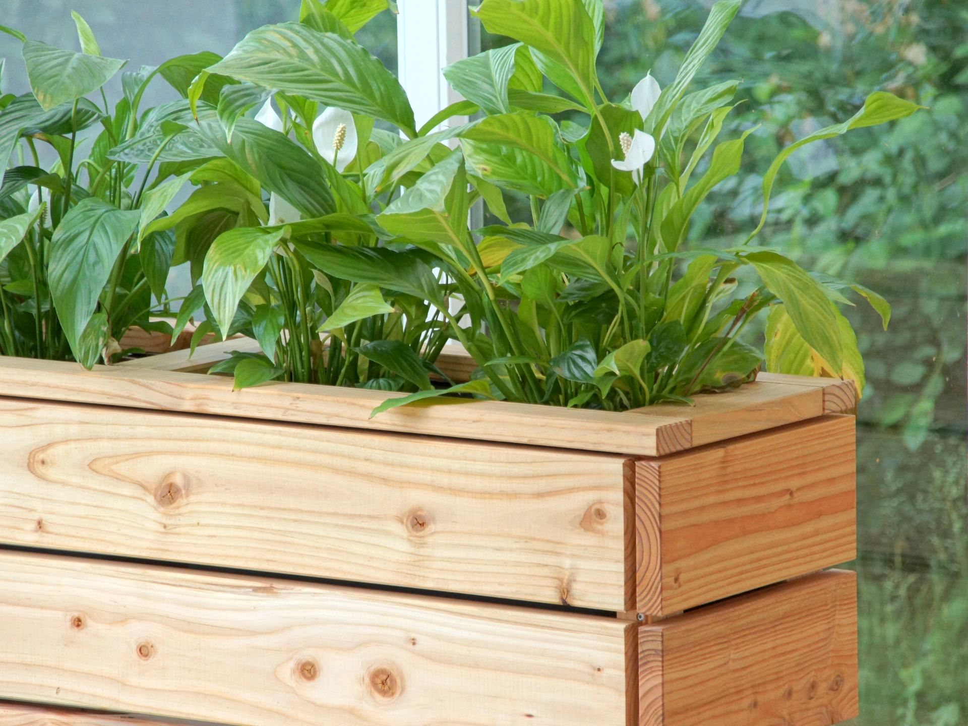 Pflanzkasten Classic Natur Geölt – Detail rechte obere Ecke, bepflanzt
