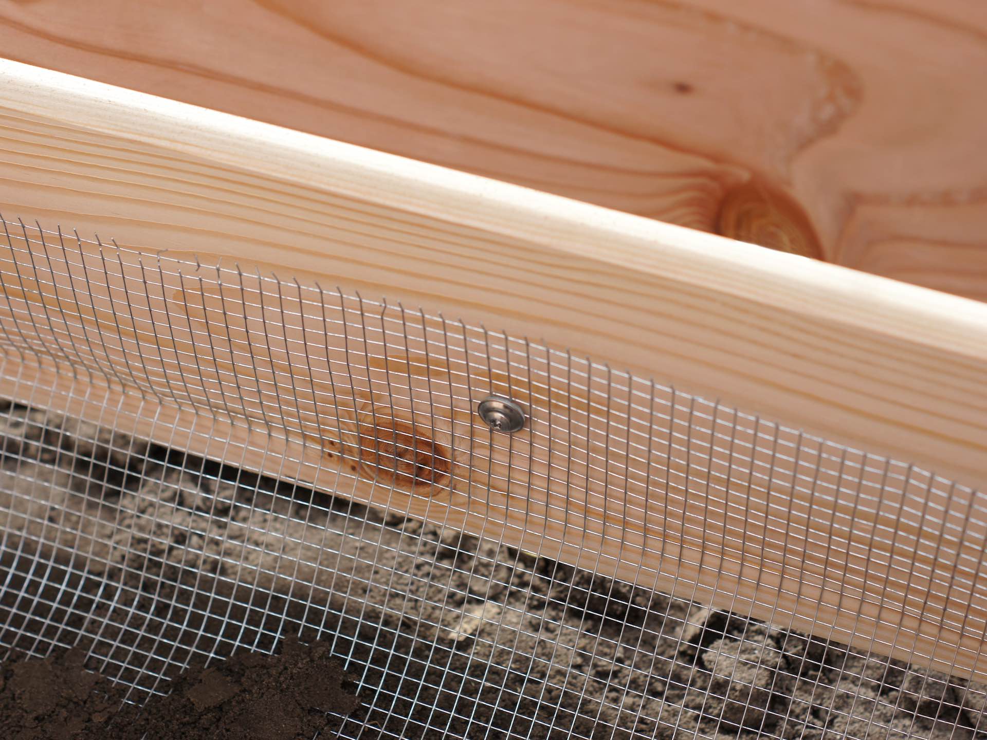 Hochbeet aus Holz mit feinmaschigem Wühlmausgitter