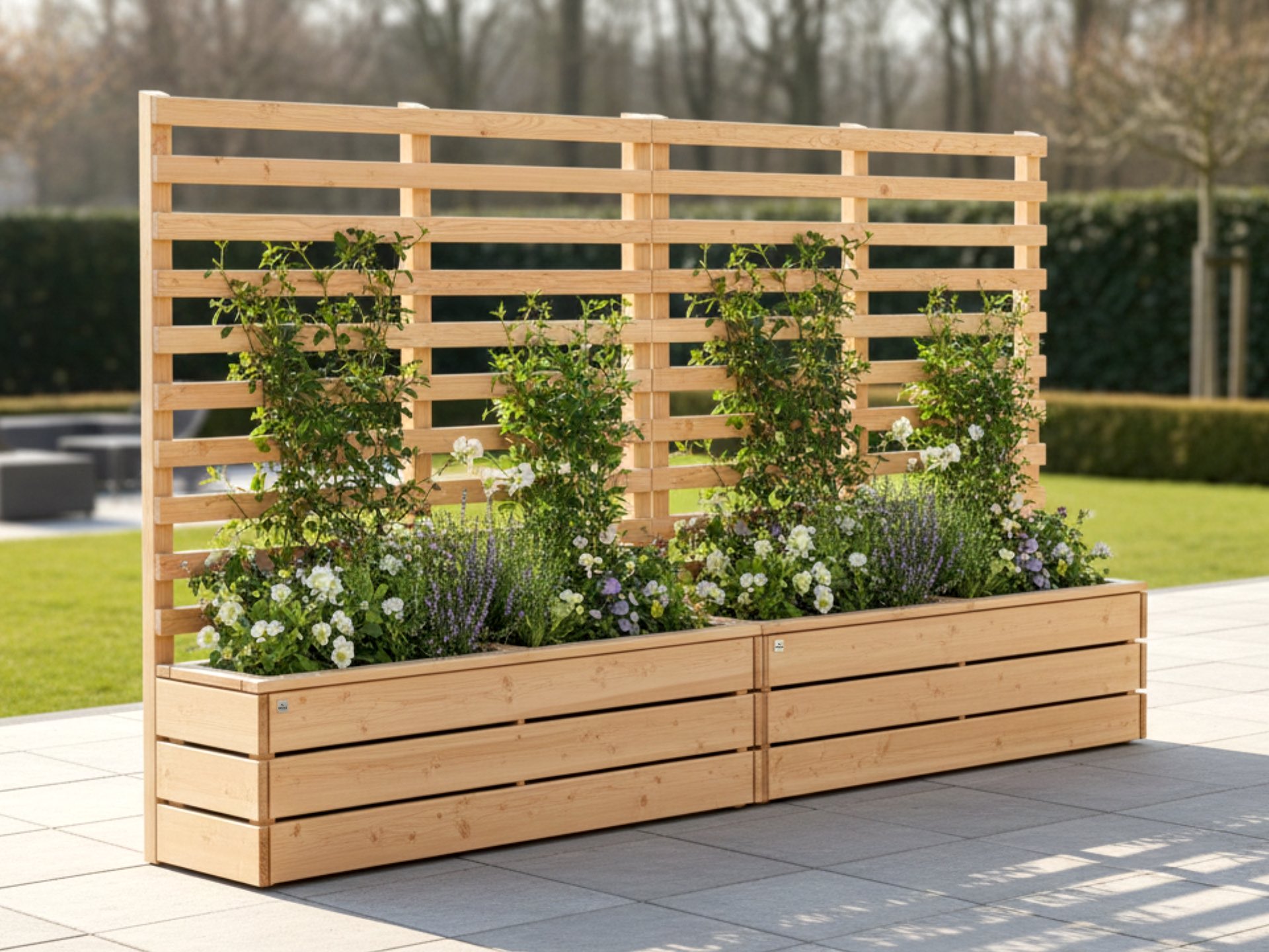 Zwei lange Pflanzkästen aus Douglasie mit hohem Rankgitter, in Reihe aufgestellt als luftiger, begrünter Sichtschutz mit Rankpflanzen.