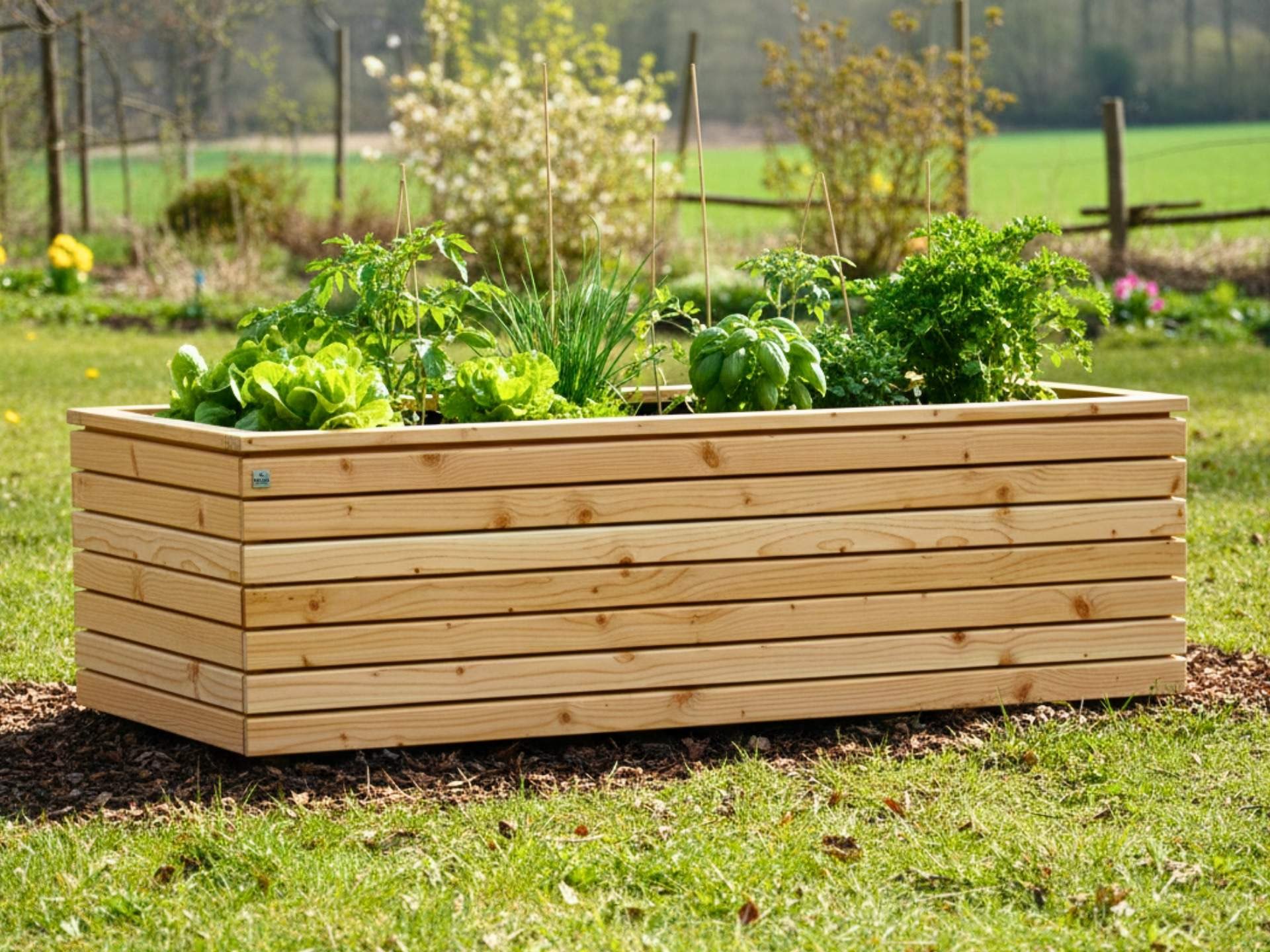 Hochbeet Rhombus aus Douglasie in Natur Geölt – Gesamtansicht mit ruhiger Maserung und gleichmäßiger Oberfläche