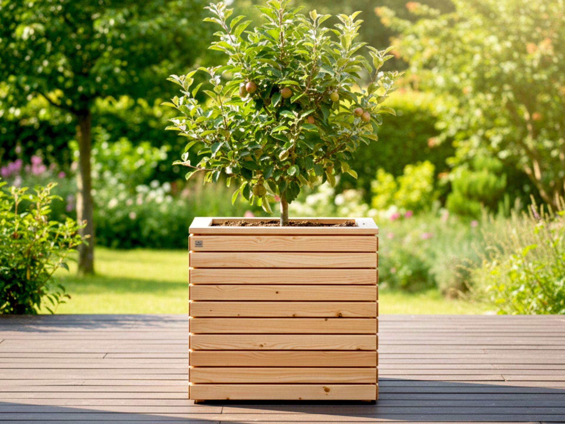 Großer Pflanzkübel Rhombus 80×80×76 cm mit Zwergobstbaum bepflanzt, geeignet für Terrasse, Balkon oder Garten.