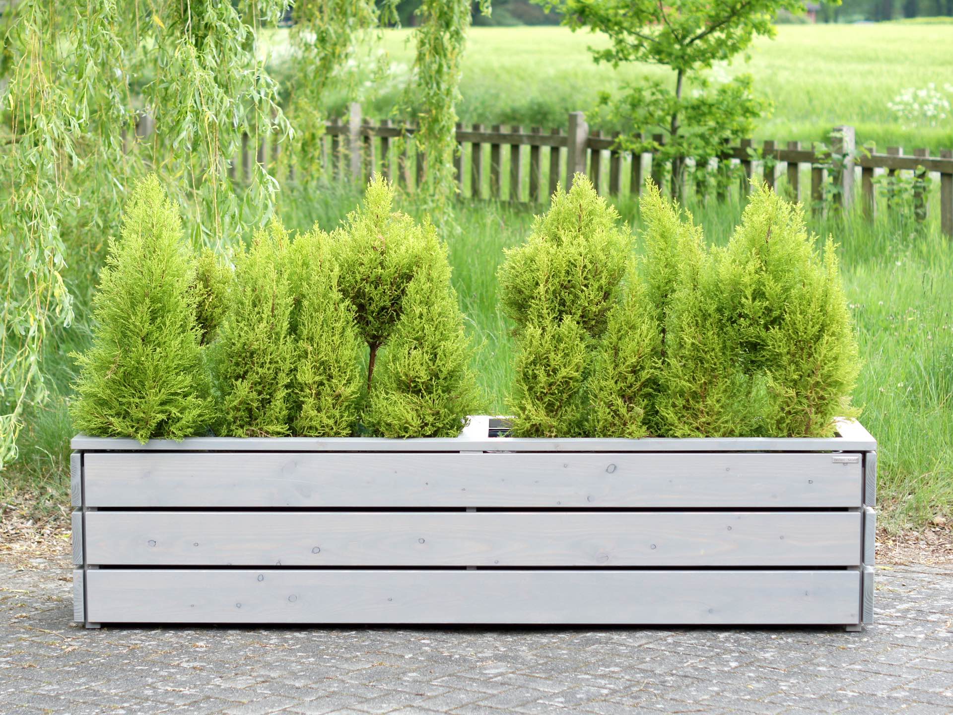 Pflanzkasten Classic Grau Geölt – langer Pflanzkasten mit leuchtend grüner Bepflanzung, frontal aufgenommen