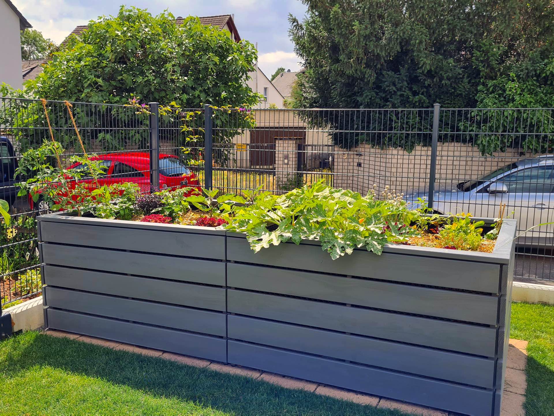 Hochbeet Classic 300 x 100 x 83 cm in Basaltgrau, aus erhöhter Perspektive mit Blick ins Beet