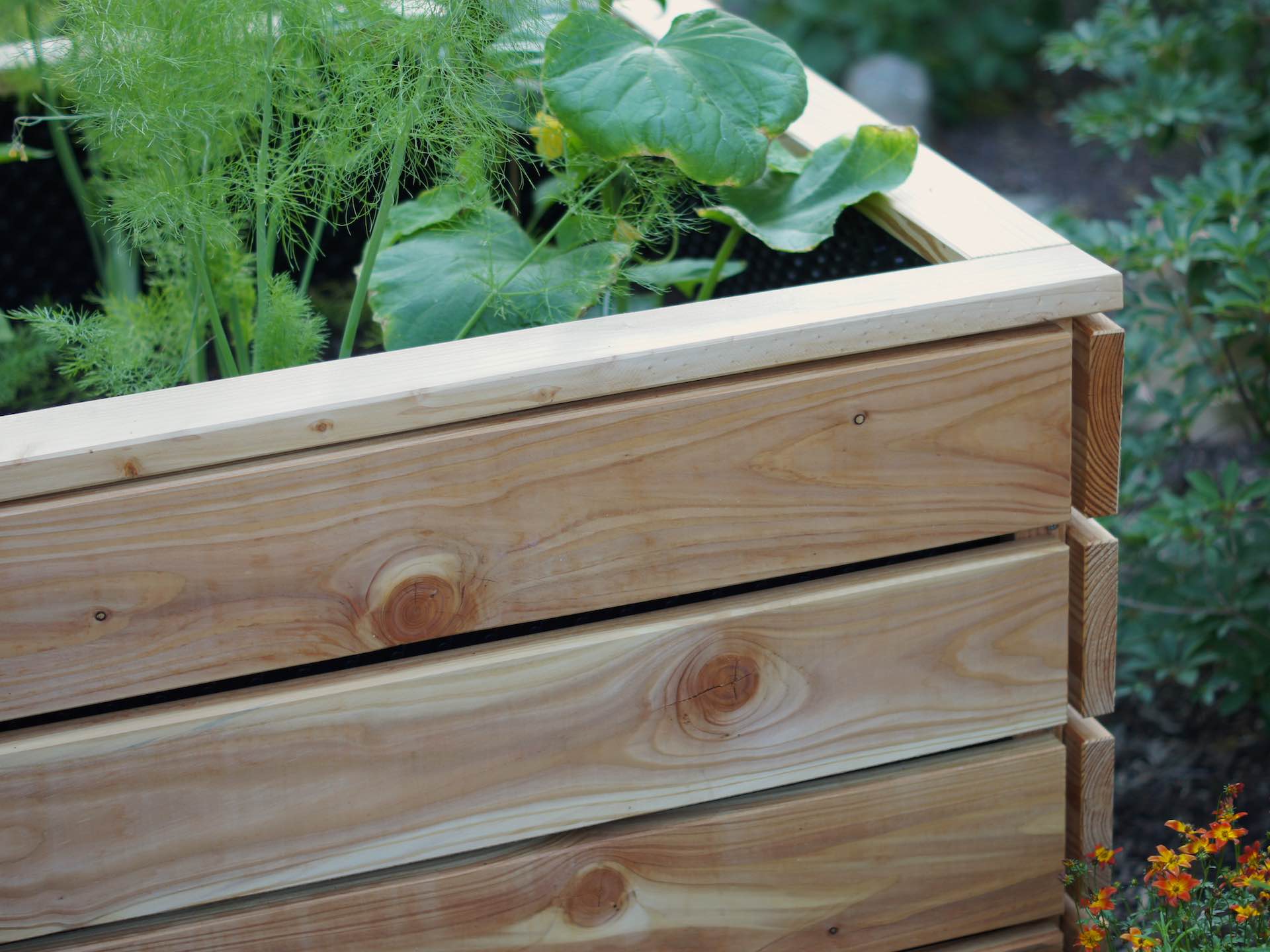 Detailaufnahme der Ecke eines Hochbeets mit Schattenfugen und verdeckter Verschraubung