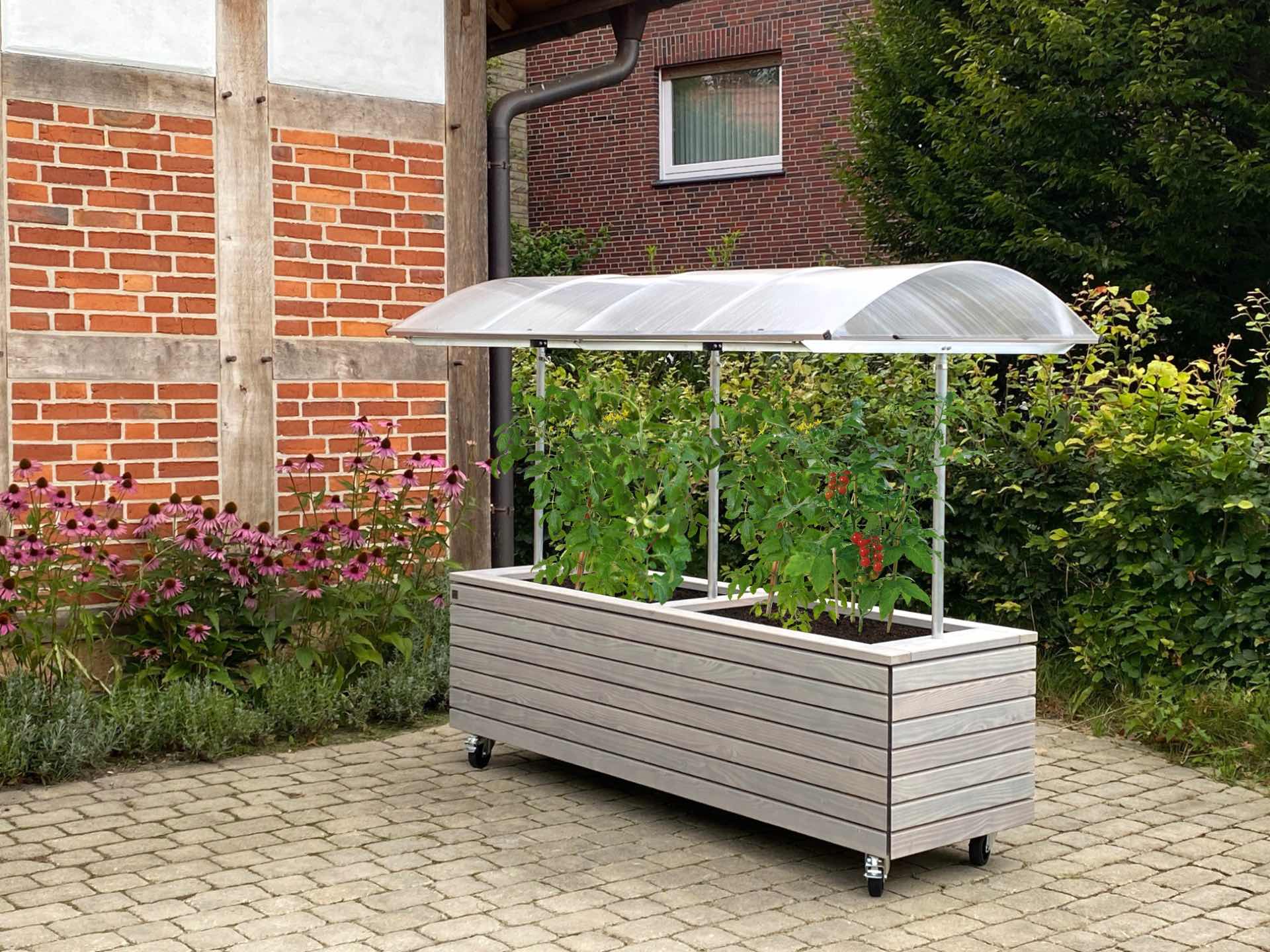 Pflanzkasten Rhombus mit Tomatendach: Mobil & mitwachsend Rechteckiger, grau geölter Pflanzkasten Modell Rhombus auf stabilen Rollen. Integriertes Tomatendach mit verstellbaren Stangen schützt wachsende Tomatenpflanzen, ideal für flexible Nutzung im Außenbereich.