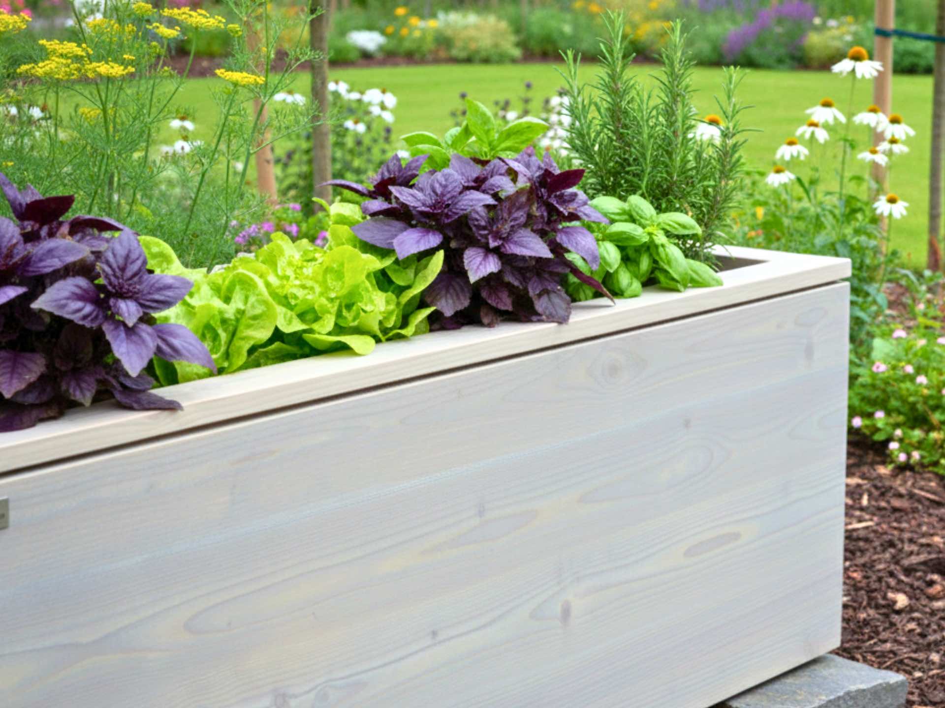 Detailaufnahme der Hochbeet-Wand im Modell Kubus – aus Dreischichtplatte mit geölter Oberfläche in Grau, die natürliche Maserung ist gut erkennbar