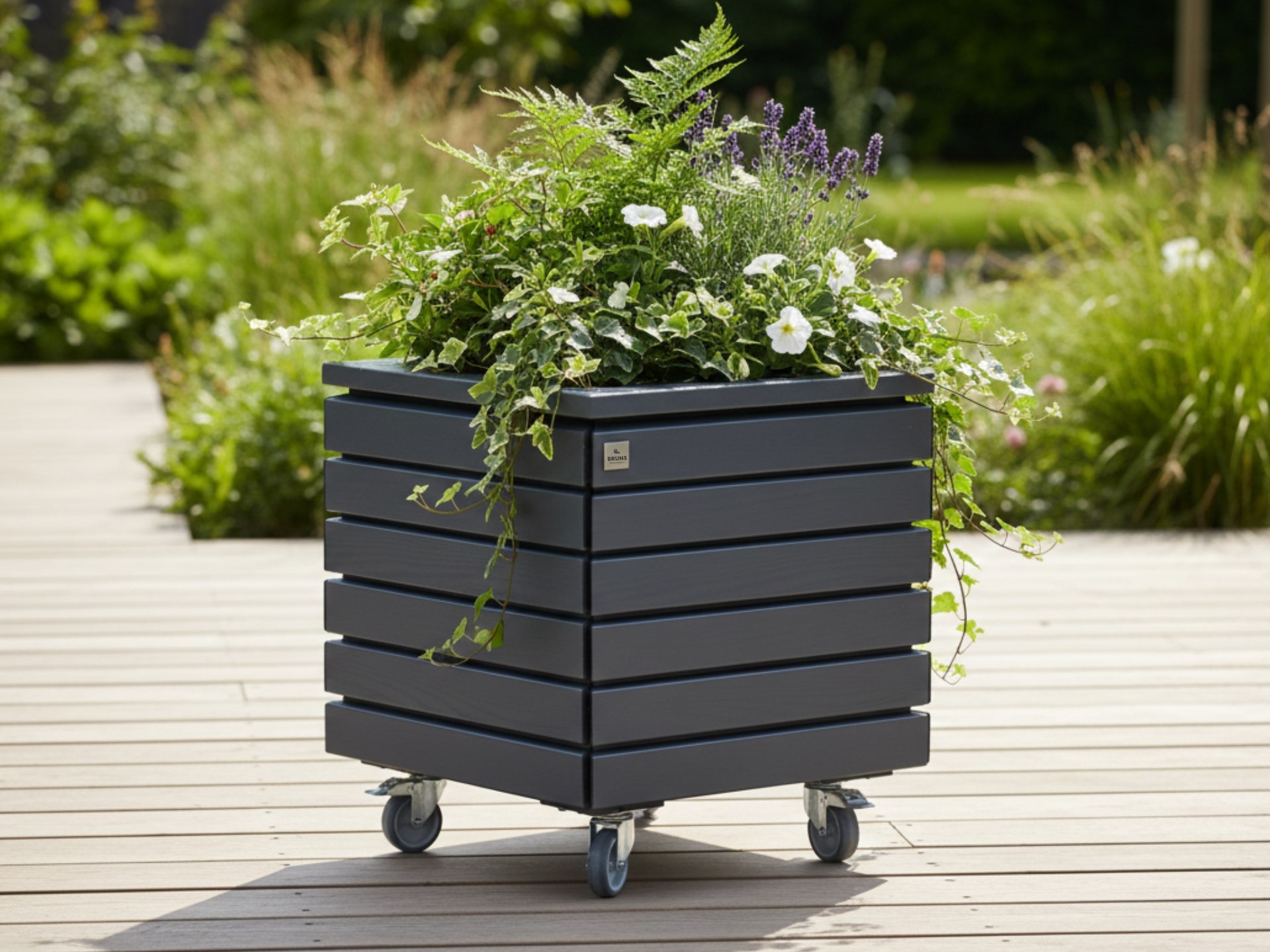 Pflanzkübel Rhombus XS in Anthrazit mit Lenkrollen und Kunststoff-Pflanzeinsatz, kompakte Lösung für Balkon oder Terrasse.