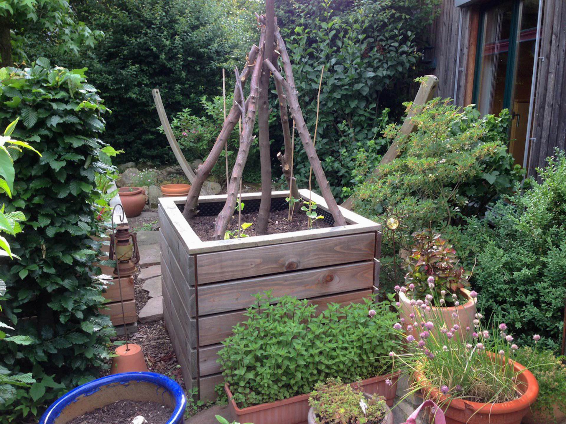 Hochbeet aus Naturholz, bepflanzt, von links vorn gesehen, mit Astpyramide als Rankhilfe