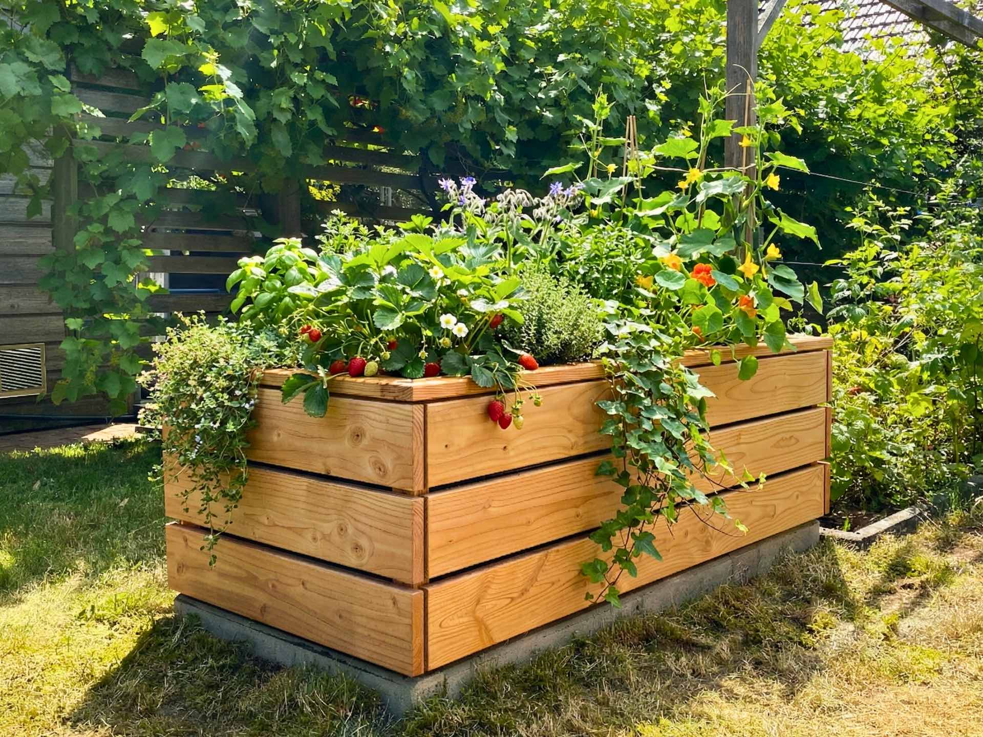 Pflanzkasten Classic 160 in Natur geölt, 160 × 75 × 51 cm, nutzbar als Hochbeet für Balkon oder Dachterrasse.
