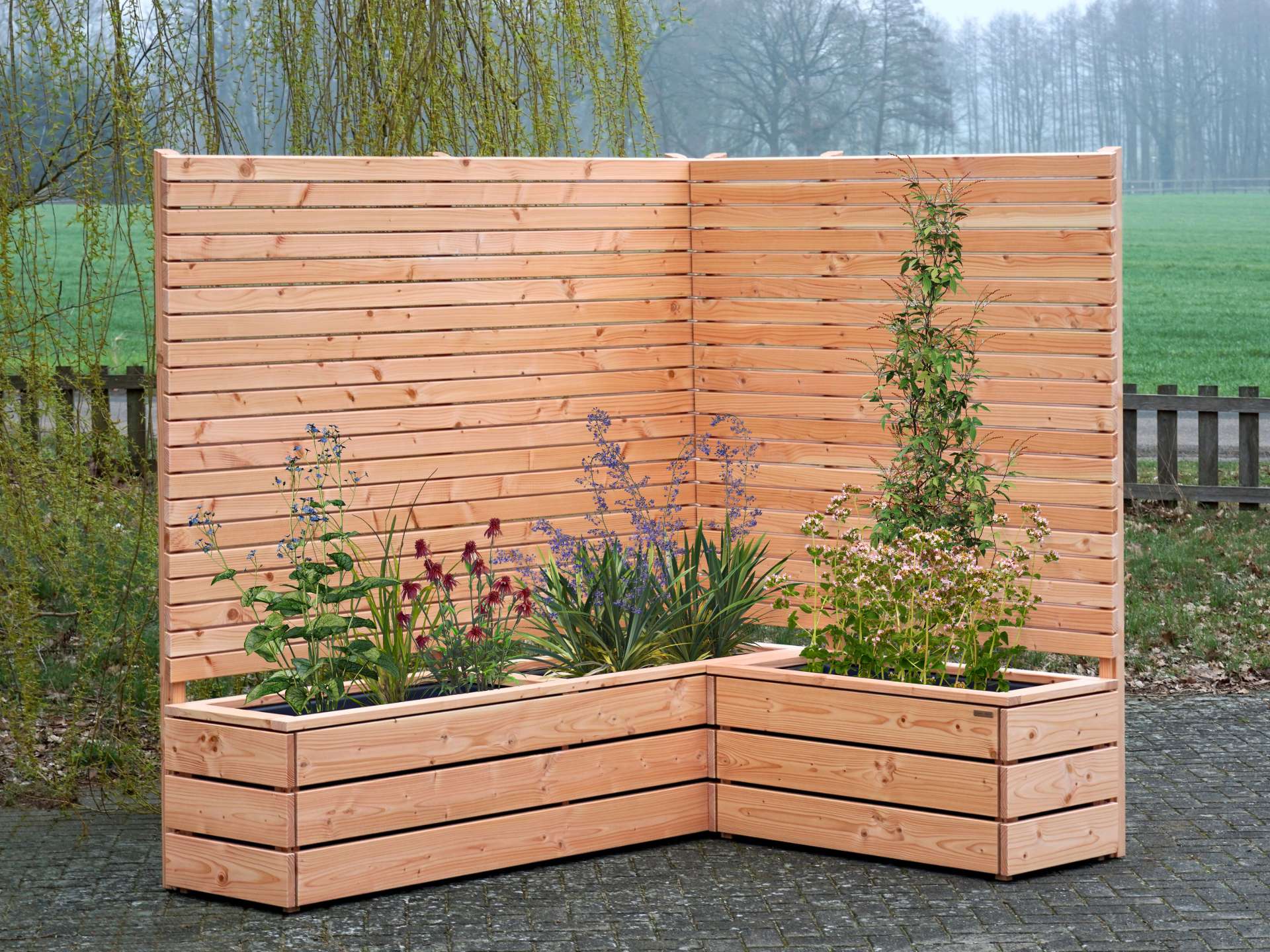 Pflanzkasten Ecke aus Douglasie mit integrierter Rhombus-Sichtschutzwand, linke Seitenansicht, bepflanzt mit Stauden im Kunststoff-Einsatz, stehend auf Pflaster; im Hintergrund Trauerweide, Rasen und Zaun