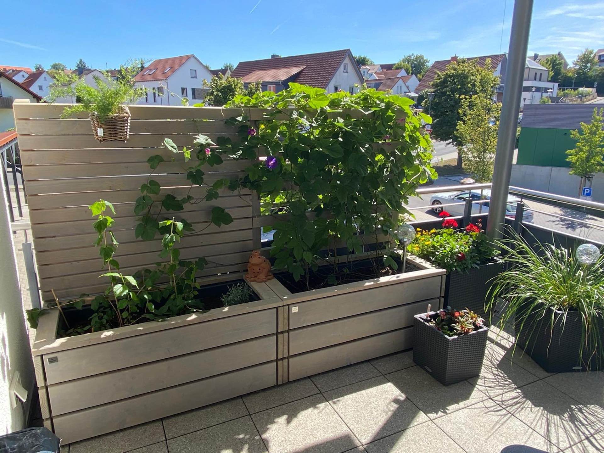 Zwei Pflanzkästen in Grau geölt mit Bepflanzung: rechts Rankpflanze, links Sichtschutz mit Pflanzkasten und grünen Pflanzen. Pflanzkästen Grau Geölt – mit Rankpflanze, Sichtschutz & Bepflanzung, Seitenansicht links