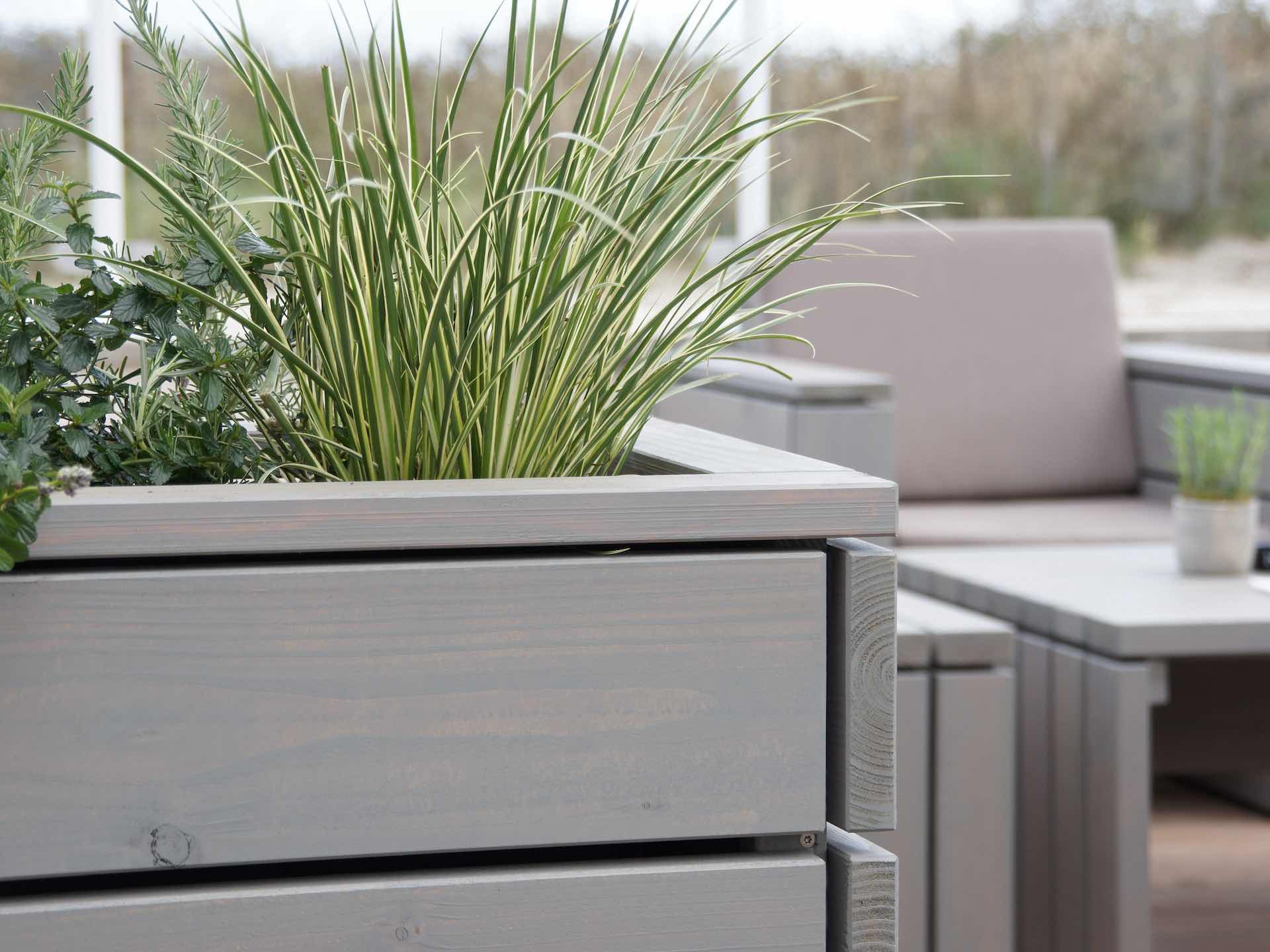 Detailfoto eines Pflanzkastens auf einer Café Terrasse, Loungesessel und Düne im Hintergrund