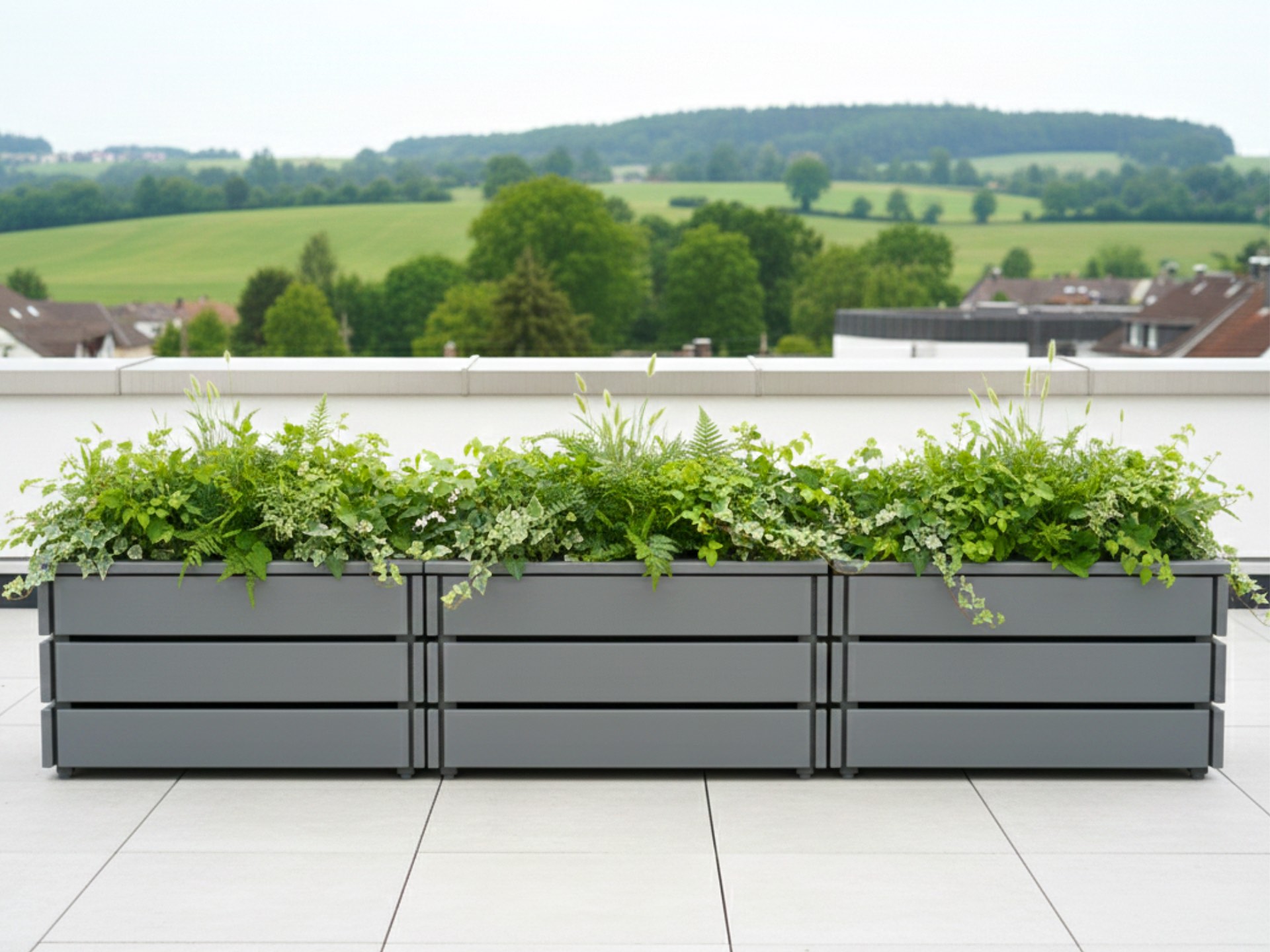 Drei Pflanzkästen Classic M in Basaltgrau auf einer Dachterrasse, moderne Gestaltung mit klaren Linien und Begrünung.