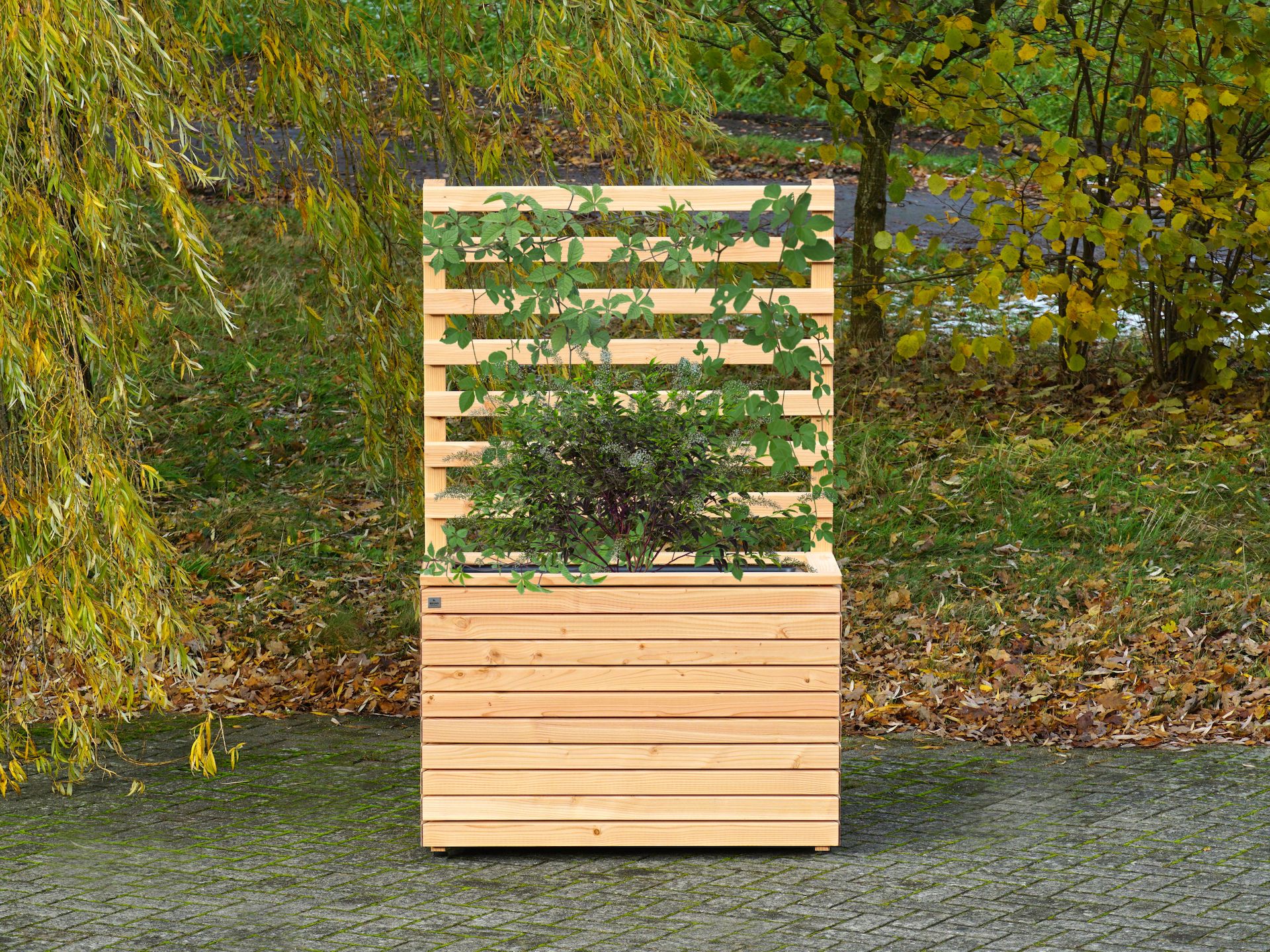 Pflanzkasten Rhombus A90 in Douglasie Natur – frontal mit grüner Bepflanzung	