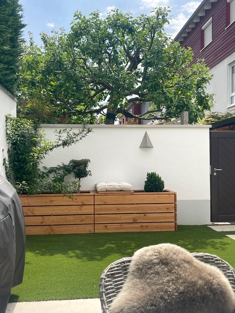 Maßgefertigtes Hochbeet aus Douglasie Geölt auf Grünfläche Hochbeet aus Douglasie Geölt als Maßanfertigung auf Rasenfläche vor hoher weißer Mauer
